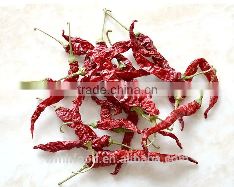 Dry Red Chili for sale