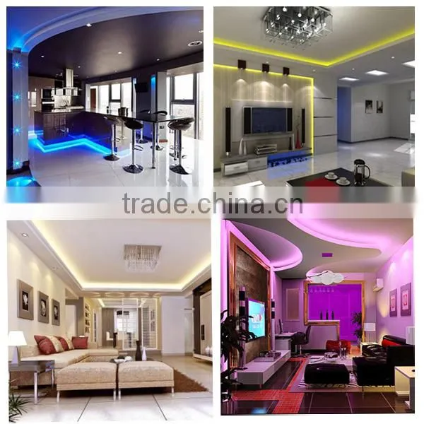 led strip light 2835 hot sale led strip in india market