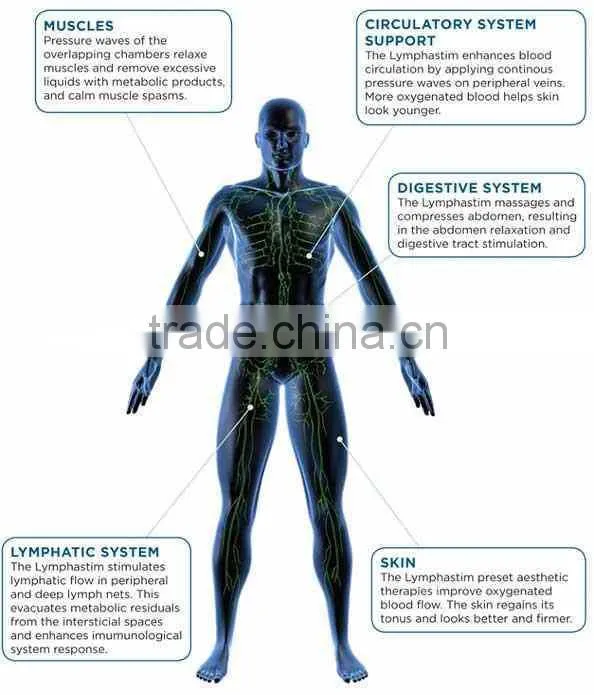 Pressotherapy-infrared slimming machine