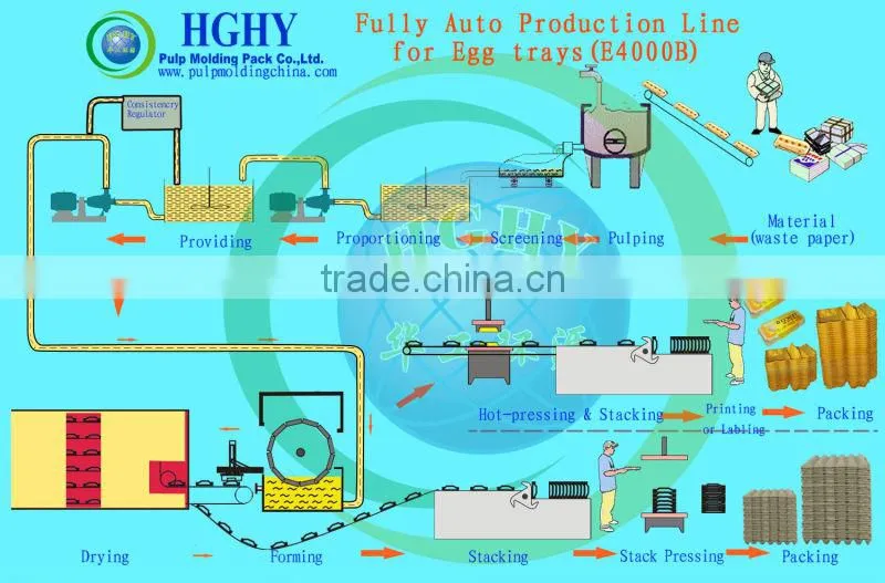 large capacity egg tray machine production line fully automatic wholesale from China industry first factory HGHY easy to operate