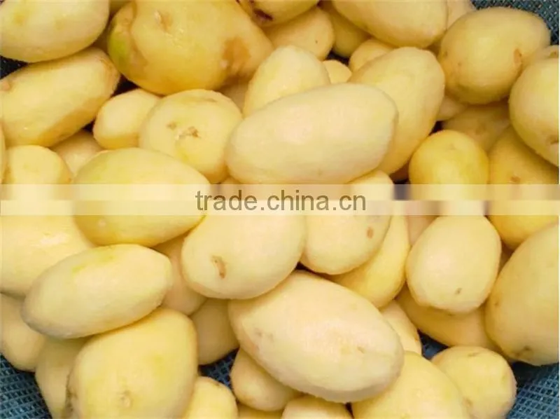 food processing International Standard ideal commercial potato peeler machine