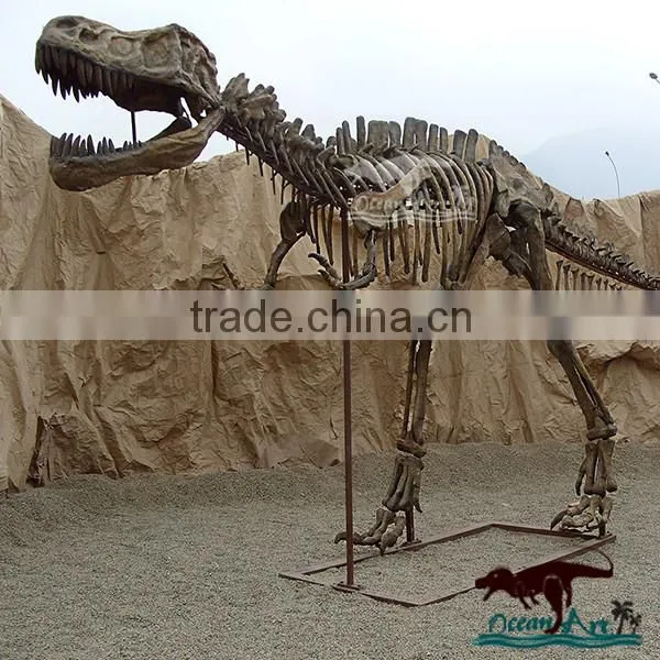 OA3113 Museum Quality Dinosaur Skull Replica Replica Dinosaur Skull