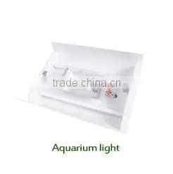 Guaranteed quality reasonable price chinese aquariums DICI Fish Tank