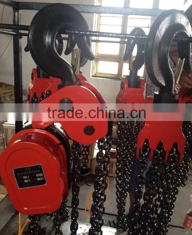 Small Size DHS Type Electric Chain Hoist 1-10 Ton