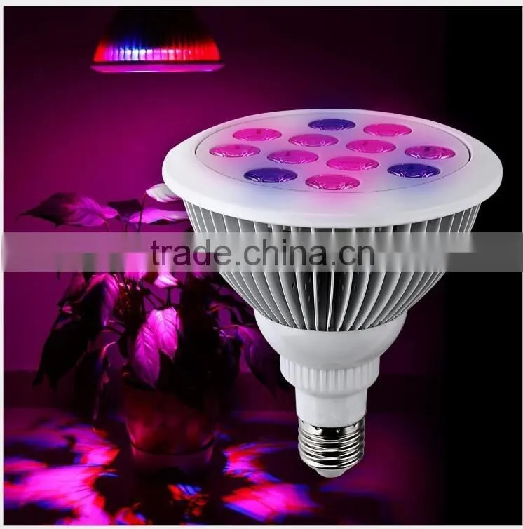 Wholesale High Quality OEM Spectrum 36W Outdoor Plant Light