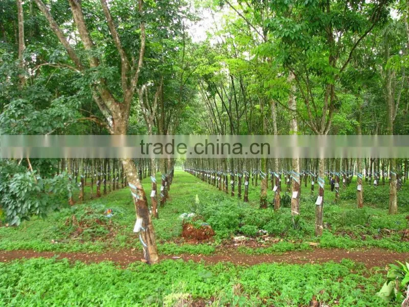 Bulk Rubber tube wholesale directly price from Large factory