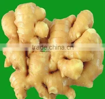 ginger 2012 for sale