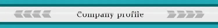 LONGCHENG PZ56 Planetary Gear Reducer and planetary gear design