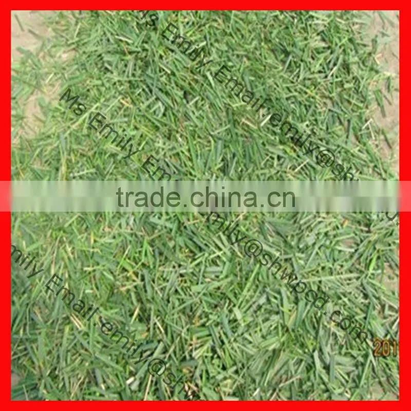 chaff cutter for livestock feed