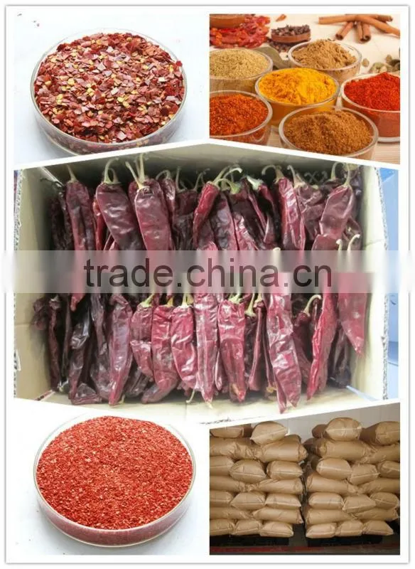 2012 New Crop whole chili pods pepper