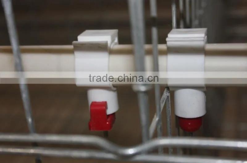 poultry battery cages for sale