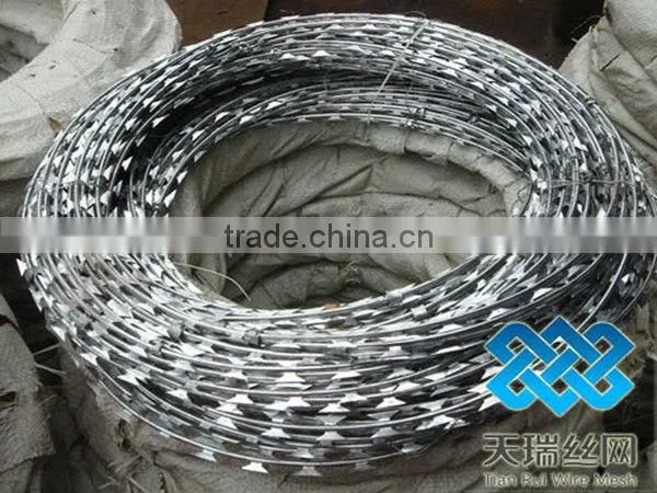 razor barbed wire/concertina wire for sale