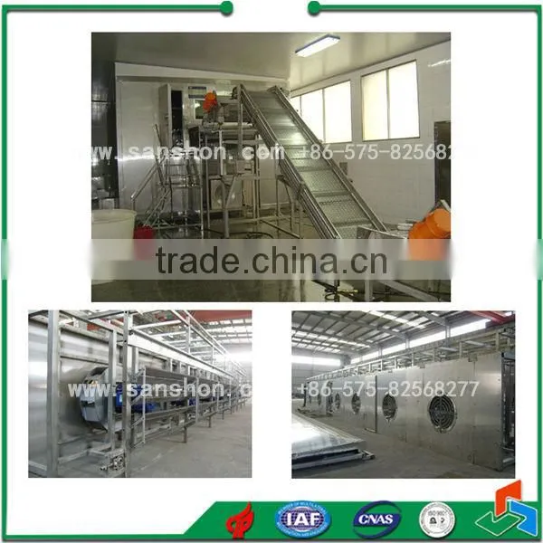 Food Machinery Fruit Processing Coconut Blast Freezer