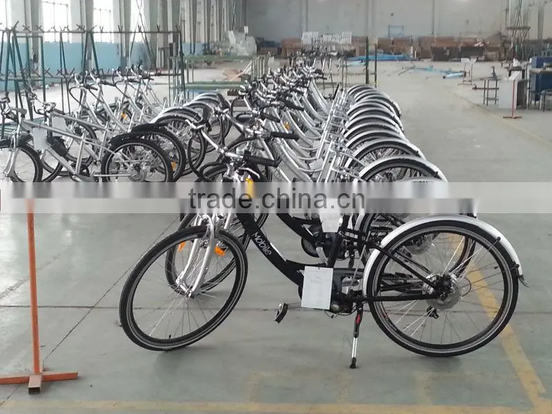 Electric Bicycle motor Power Plus