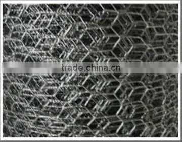 galvanized hexagonal wire mesh/netting