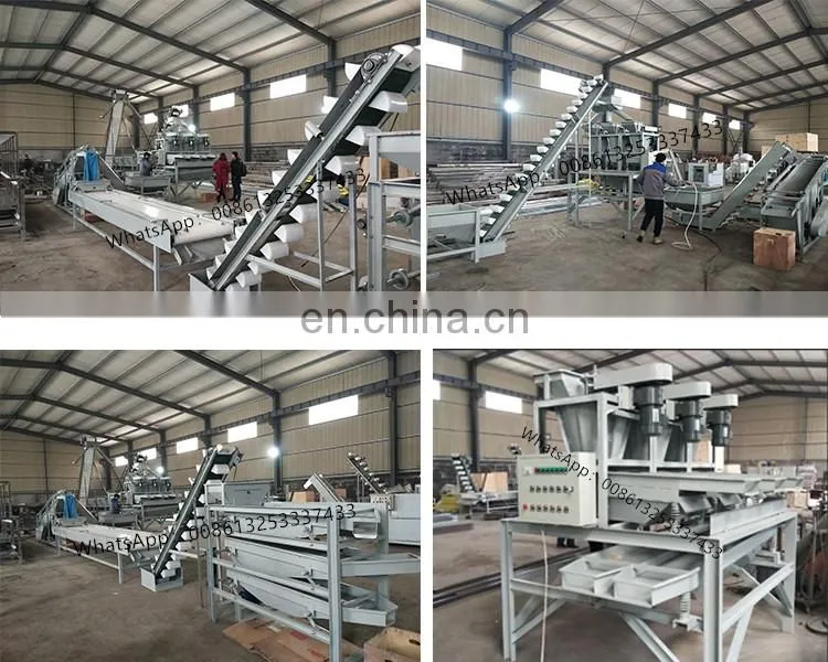 Shell remove machine production Macadamia walnut shucker breaker walnut cracker