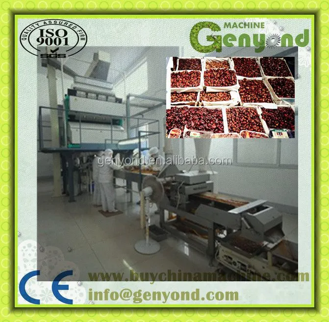 Shanghai Raisin Color Sorting Machine for Raisin Processing