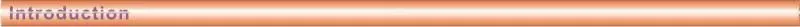 VIT excellent whiteness heat resistant paint