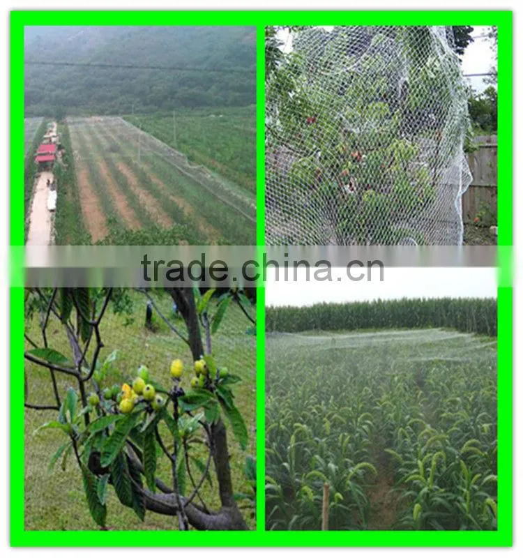 high quality stretch crops field top cover bird net