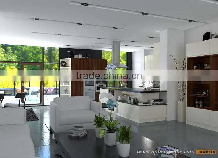Project Modern Modular Kitchen Designs Small Kitchens