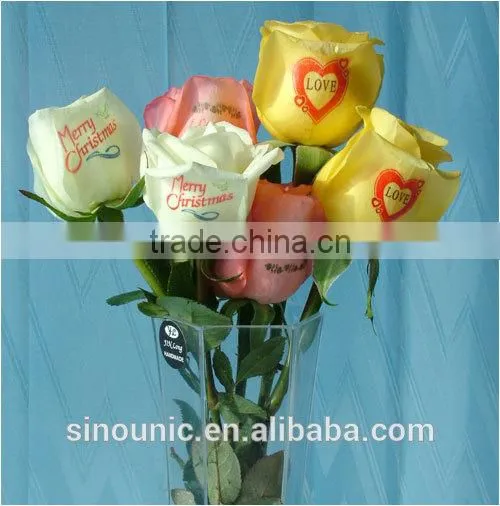 Digital Flower Printer