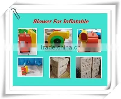 CE durable wahoo kids inflatable water slide for Children 's happy dream games
