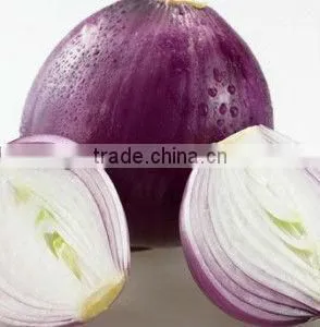 No pesticide onion