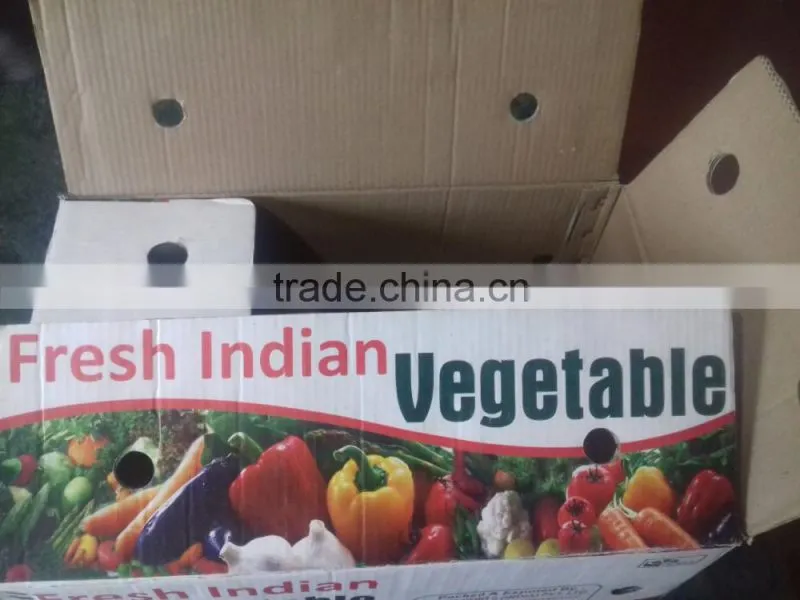 Indian Fresh long,dark Green and spicy green Chilli Exporter