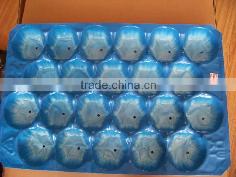 Thermoformed Plastic Food Packaging Insert Liner
