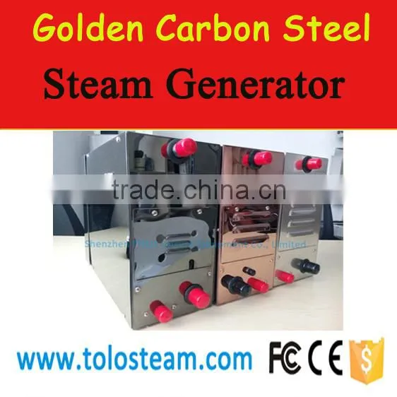 Steam Powered Electric Generator for Steam Sauna