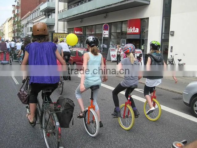 Self-Balaning Steel Unicycle Single Wheel Bicycle