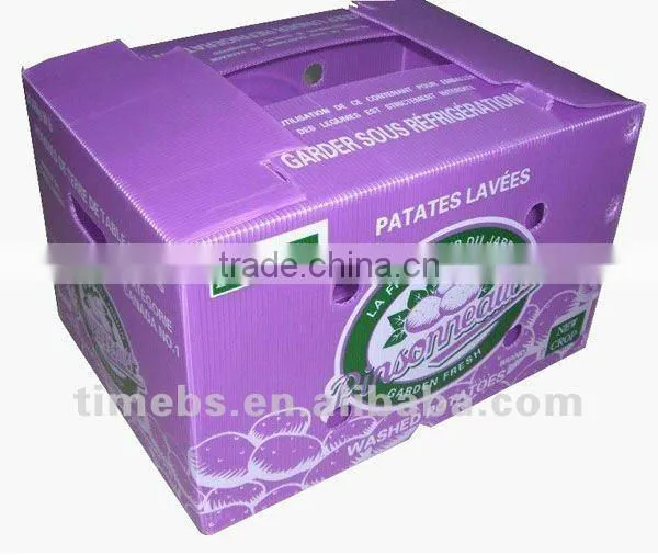 Corrugated pp packaging box