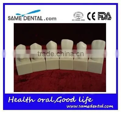 Hot Sale 4 Times Butment Cavity Preparation Model Gingival School Teaching Demonstration Models