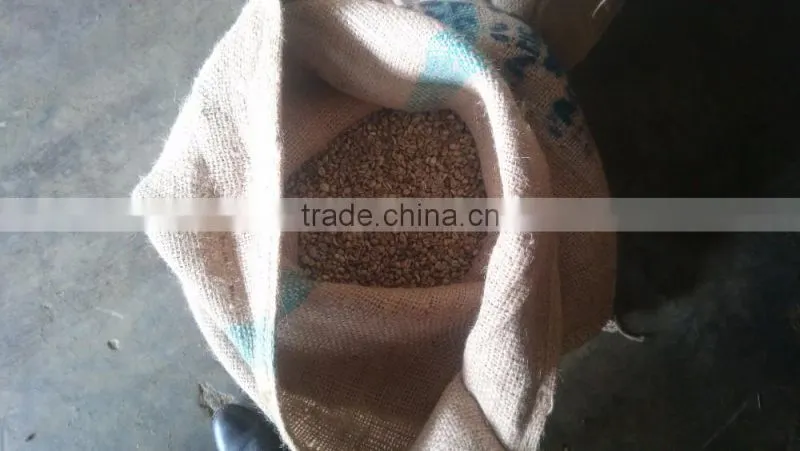 VIETNAM ARABICA GREEN COFFEE BEANS- The best price