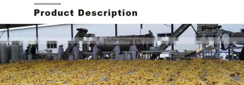 Frozen vegetables of sweet corn kernels