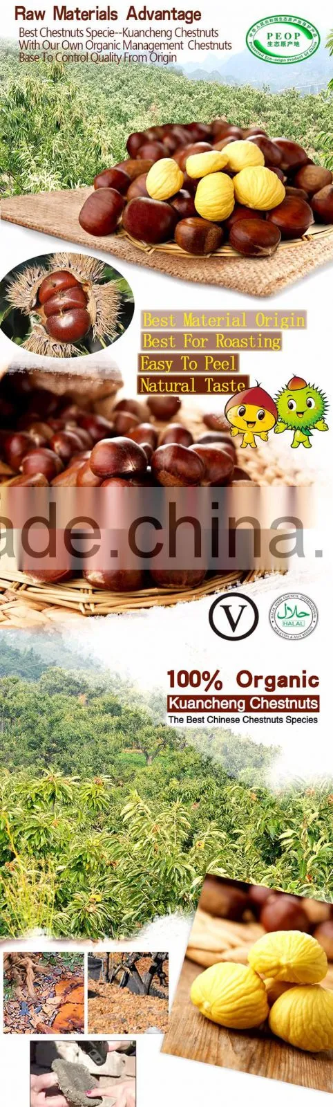 New Crop Fresh Chestnut is the best fruit and vegetables