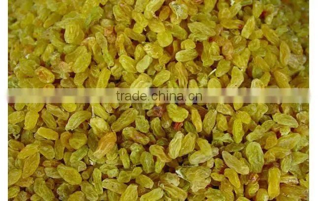 best quality dried raisin(red raisin/green raisin /golden raisin)