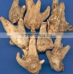 Natural Bletilla Tuber