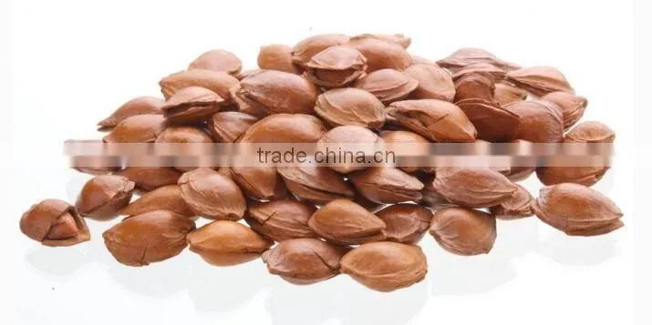 almond shell removal machine /almond sheller/almond shelling machine
