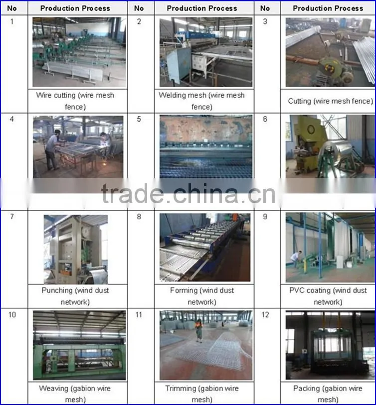 6x6 Welded Wire Mesh