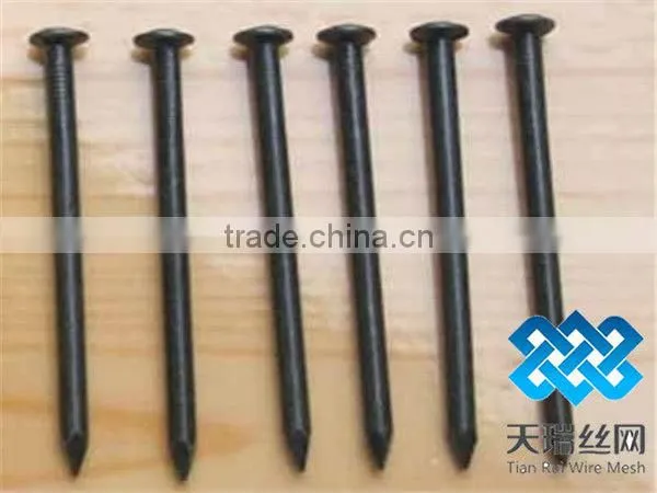 Nail/wire nail/common nails