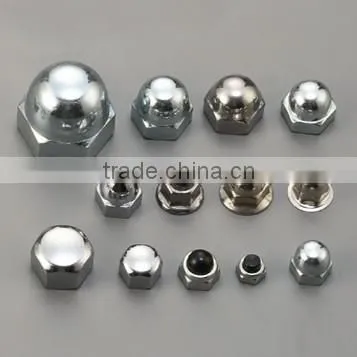 Q235 304 316 Plated Steel Cap Nut Nylon Cap Nut of ASTM SAE ISO Standard