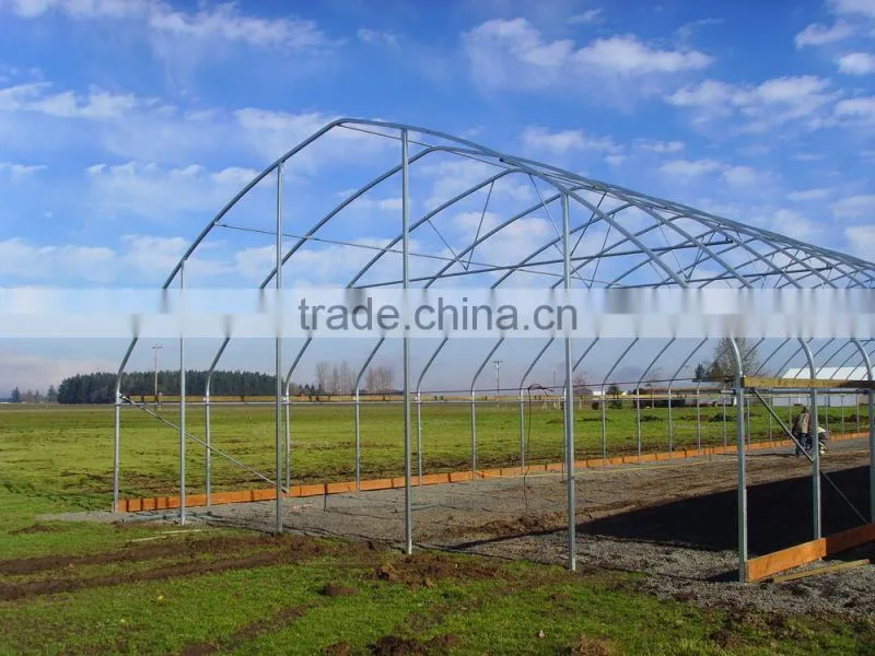RoughBrothers Galvanized Steel Frame Agricultural Tunnel Greenhouse
