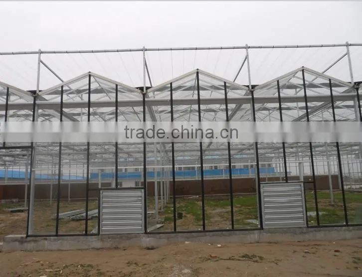 Flower with glass greenhouse