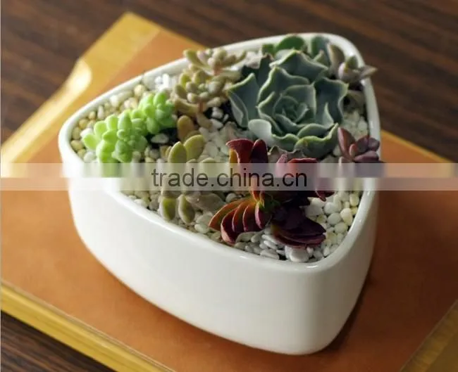 New design rounded triangle small white ceramic shallow pot