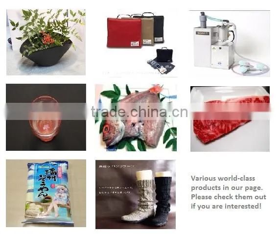 High quality portable spa health product made in Japan, small lot order available