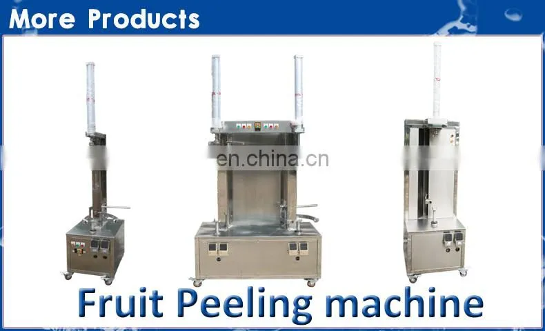 Fruit and vegetable juicer for sale electric carrot juicer orange juicer making machine