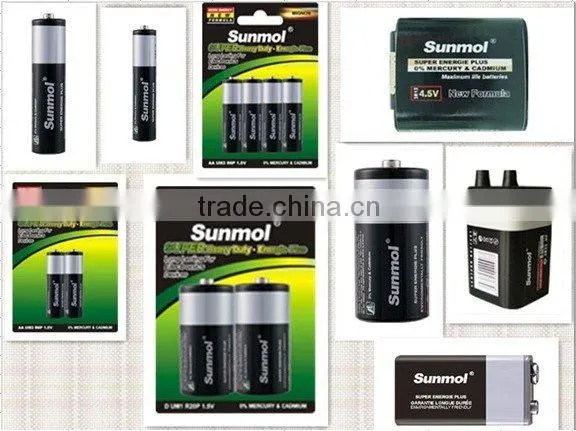 D/C/AA/AAA/9v dongguan manufacture