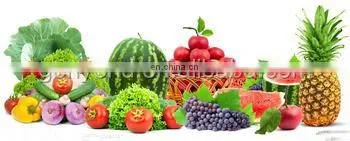 vegetable washing machine