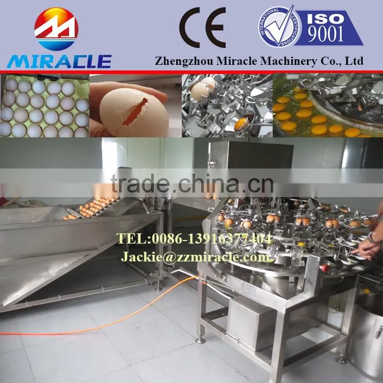 Liquid egg process plant breaking and separating eggs machine
